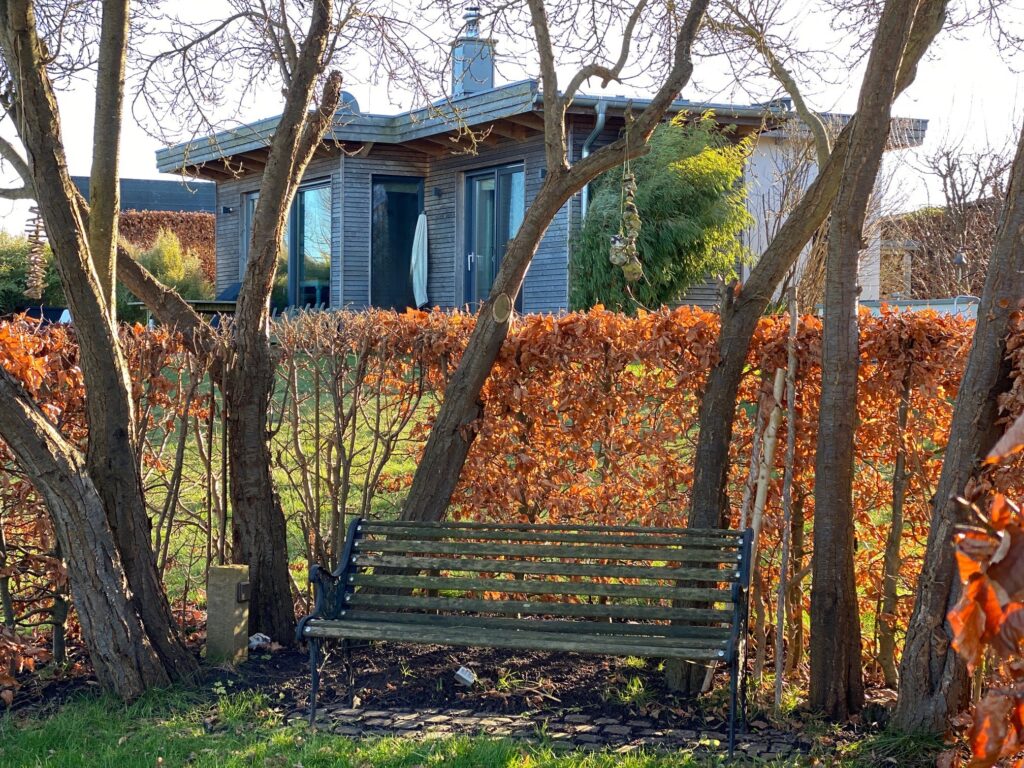 Holzbank im Garten unter Bäumen, mit Blick auf ein Haus im Hintergrund