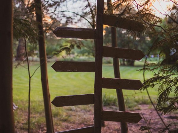 Welche Therapieform ist die richtige für mich – Wegweiser im Wald als Symbol für Orientierung und Entscheidungsfindung